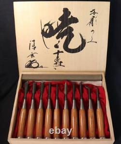 Akatsuki Striking Wood Carving Japanese Chisel Nomi Tools 10 pieces Japan