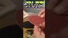 Angle Grinder Attaching Backing Pad With Sanding Disc Woodworking Tools