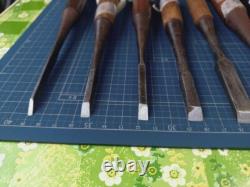 Chisel Nomi set of 11 3mm-42mm Japanese Vintage Woodworking Tool Japan #002