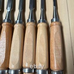 Generic Woodworking Chisel Set 12pc with Safe Blade Covers 6mm 38mm