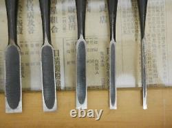 JAPANESE CHISEL NOMI Set of 10 all From Japan b83