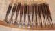 JAPANESE CHISEL Nomi Ebony-wood handle SAKAAKIRA etc Set of 12 JAPAN b109