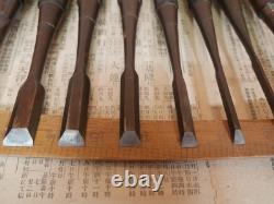 JAPANESE CHISEL Nomi Ebony-wood handle SAKAAKIRA etc Set of 12 JAPAN b109