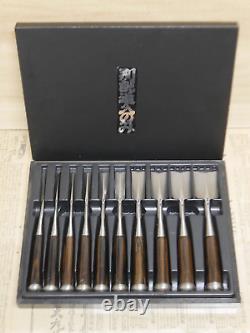 JAPANESE DOVETAIL CHISEL Sinogi-style Nomi Ichisada Set of 10 JAPAN b73