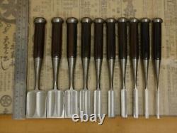 JAPANESE DOVETAIL CHISEL Sinogi-style Nomi Ichisada Set of 10 JAPAN b73