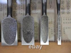 JAPANESE DOVETAIL CHISEL Sinogi-style Nomi Set of 6 from JAPAN b74