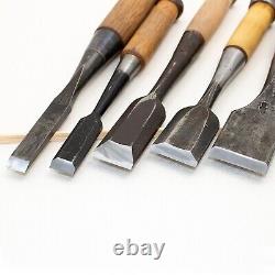 Japanese Chisel Nomi Carpenter Tool Set of 10 Hand Tool wood working #220