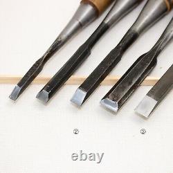 Japanese Chisel Nomi Carpenter Tool Set of 10 Hand Tool wood working #220