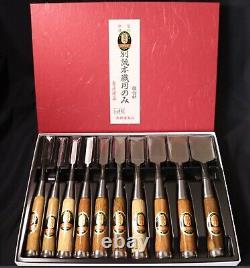 Japanese Chisel Nomi Carpenter Tool Set of 10 Hand Tool wood working Near Mint