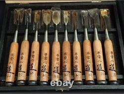 Japanese Chisel Nomi Carpenter Tool Set of 10 Hand Tool wood working used