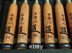 Japanese Chisel Nomi Carpenter Tool Set of 10 Hand Tool wood working used