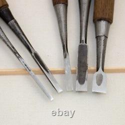Japanese Chisel Nomi Carpenter Tool Set of 11 Hand Tool wood working #225