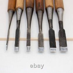 Japanese Chisel Nomi Carpenter Tool Set of 11 Hand Tool wood working #231