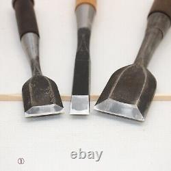 Japanese Chisel Nomi Carpenter Tool Set of 11 Hand Tool wood working #231