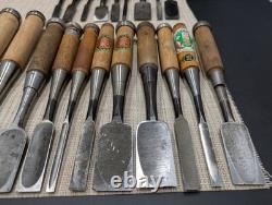Japanese Chisel Nomi Carpenter Tool Set of 25 Hand Tool wood working R3111