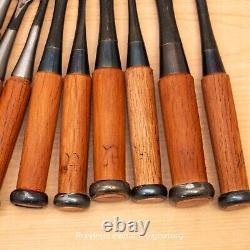 Japanese Chisel Nomi Carpenter Tool Set of 9 Hand Tool wood working #388