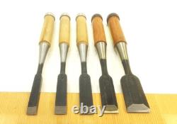 Japanese Chisel Nomi Oouchi Carpenter Tool Set of 5 wood working Hand Tools