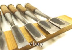 Japanese Chisel Nomi Ryumon Carpenter Tool Set of 8 wood working Hand Tools