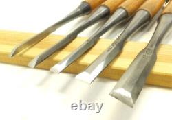 Japanese Chisel Nomi SUKEMARU Carpenter Tool Set 10 Hand Tool wood working