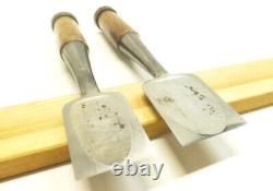 Japanese Chisel Nomi SUKEMARU Carpenter Tool Set 10 Hand Tool wood working