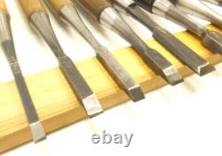 Japanese Famous Chisel Nomi? Carpenter Tool Set of 10 Hand Tool wood working