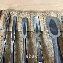 Japanese Professional Oire Nomi Chisel Set of 10 Zensaku Mixed Makers