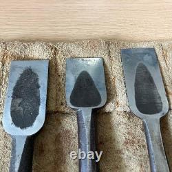 Japanese Professional Oire Nomi Chisel Set of 10 Zensaku Mixed Makers