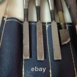 Japanese Woodworking Chisel Nomi Set of 5 with Carving Gouge Hand Tool