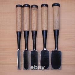 Japanese unuse Chisel Set of 5 Hand Tool wood working #726