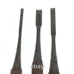 Set of 10 Japanese Chisel Nomi Carpenter Tool Hand Tool wood working 08249